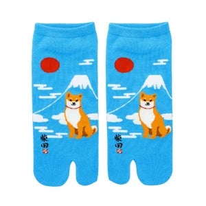 Socks Socks Shibata- san Fuji Blue 42-48